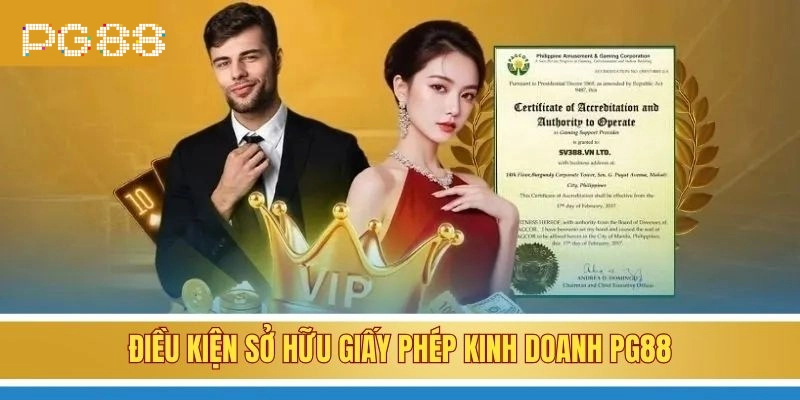 Điều kiện sở hữu giấy phép kinh doanh